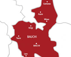 Bauchi: We demolished Gidan Kara to end social vices – LG chair